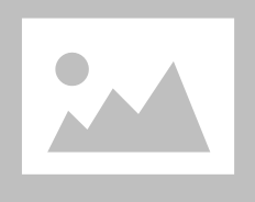 FLEX FLASH IPHONE 14 PRO MAX